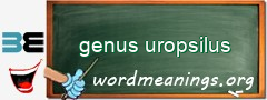 WordMeaning blackboard for genus uropsilus